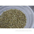 Short Neck Frozen Boiled Clam For Canned Clam